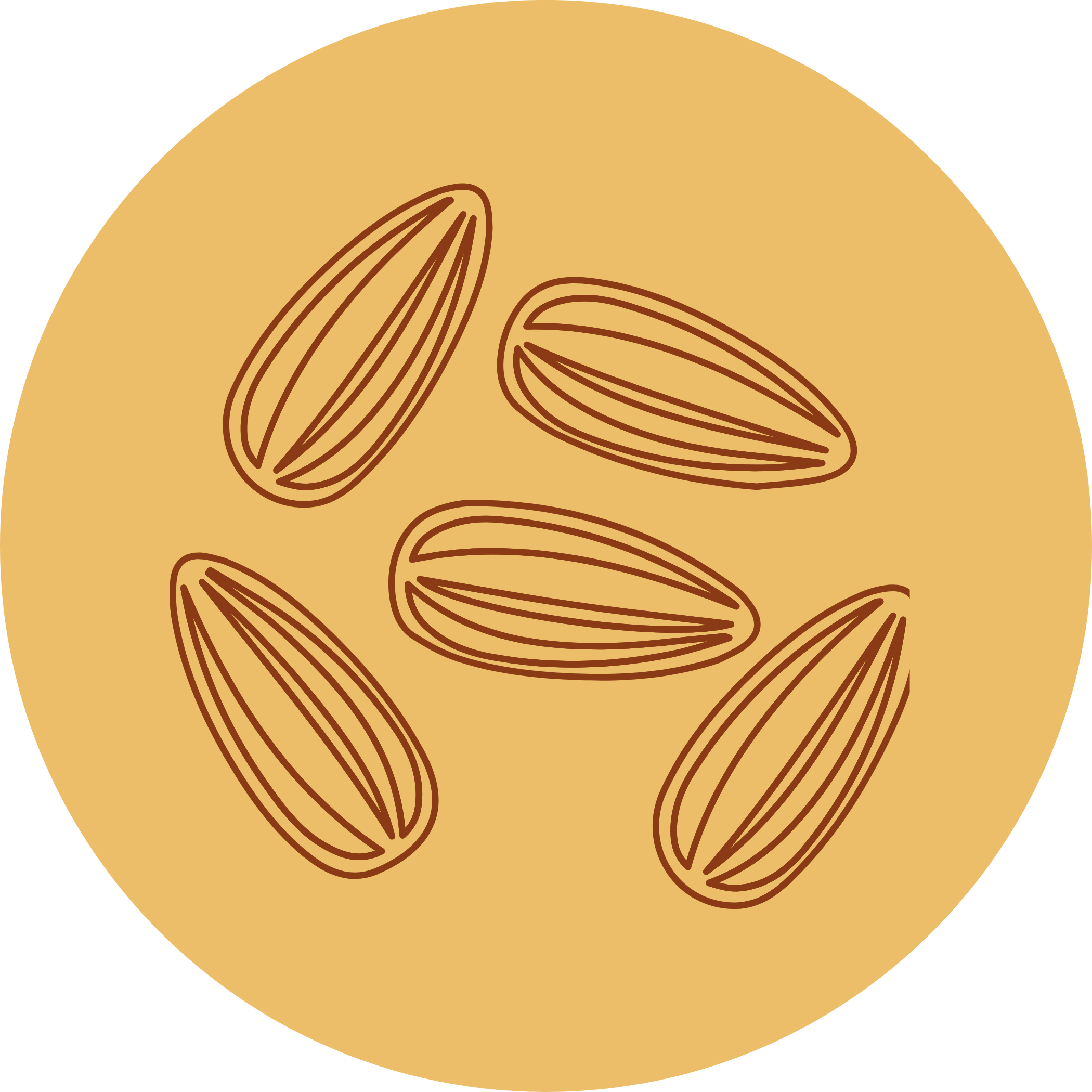 Seeds