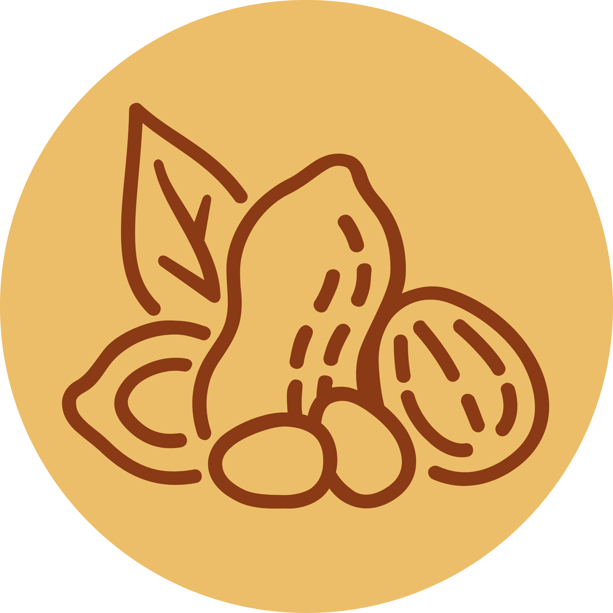 Nuts